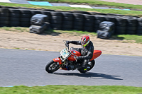 enduro-digital-images;event-digital-images;eventdigitalimages;lydden-hill;lydden-no-limits-trackday;lydden-photographs;lydden-trackday-photographs;no-limits-trackdays;peter-wileman-photography;racing-digital-images;trackday-digital-images;trackday-photos